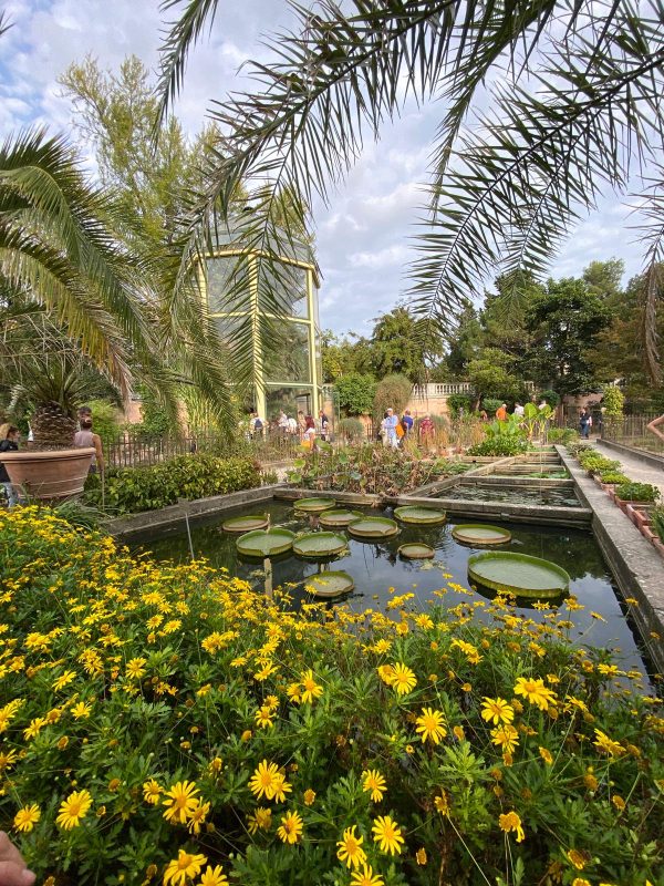 8 marzo 2026 - Visita guidata all'Orto Botanico I° TURNO: POSTI ESAURITI