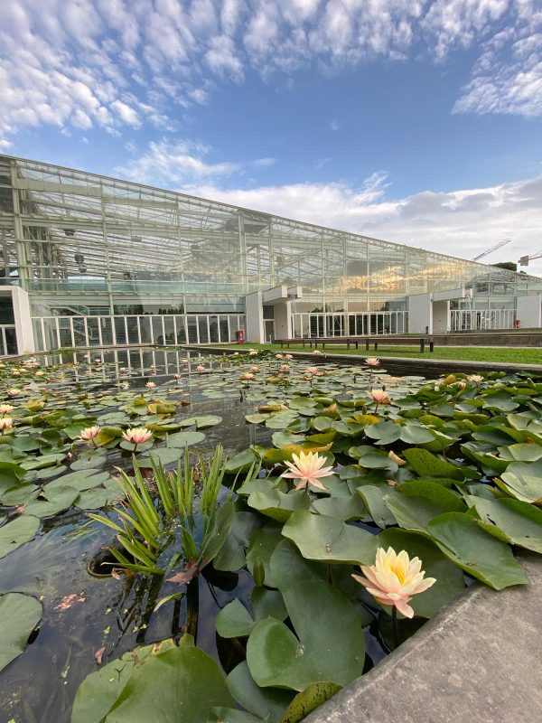 8 marzo 2026 - Visita guidata all'Orto Botanico I° TURNO: POSTI ESAURITI