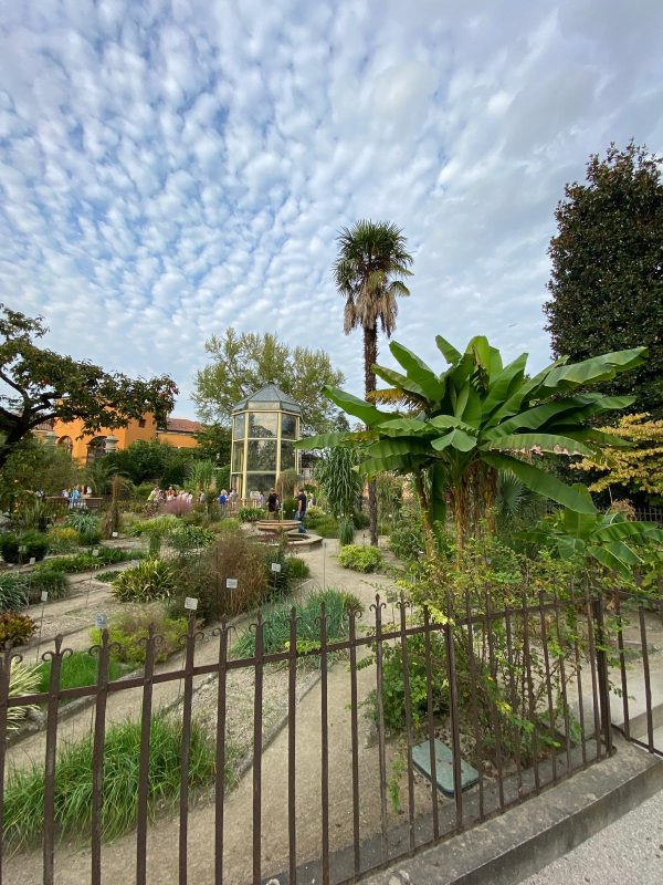 8 marzo 2026 - Visita guidata all'Orto Botanico I° TURNO: POSTI ESAURITI